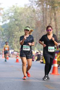 BIB: 25616, 26326
                            <button type="button" onclick="openModal(10356814)" class="btn btn-primary btn-sm float-right btn-popup" data-toggle="modal" data-target=".modal-high-quality">
                        <i class="fas fa-shopping-cart"></i> Add to Cart
                    </button>
                                            <button type="button" onclick="isThisMe(10356814, true)" class="btn btn-success btn-sm float-right btn-popup btn-isme hidden" data-toggle="tooltip" data-placement="bottom" title="นี่คือรูปของคุณใช่ไหม คลิกที่นี่เพื่อเอาเข้าอัลบั้ม">
                        <i class="fas fa-plus"></i> Add to album
                    </button>
                    <button type="button" onclick="isThisMe(10356814, false)" class="btn btn-warning btn-sm float-right btn-popup btn-isnotme hidden">
                        <i class="fas fa-ban"></i> Remove from album
                    </button>